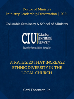 cover image of Strategies that increase ethnic diversity in the local church
